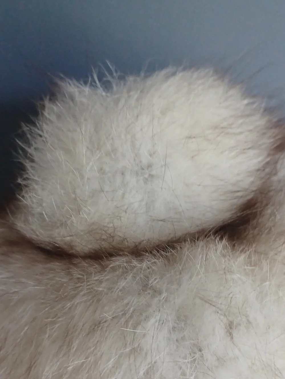 Vintage Real Fur Hat